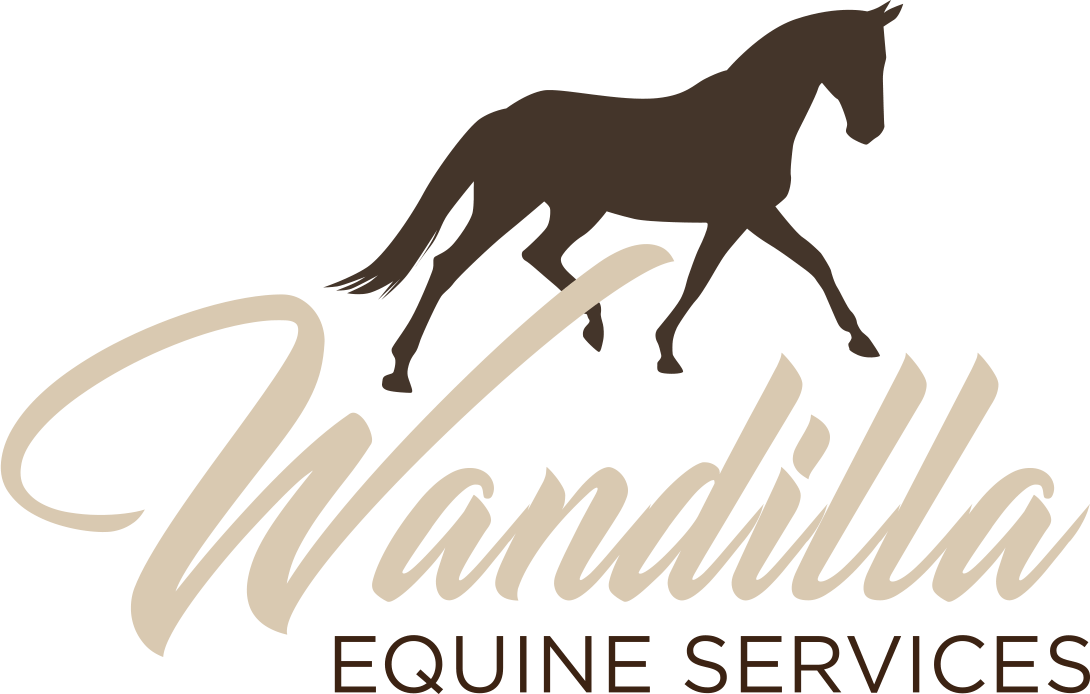 Wandilla Equine Services